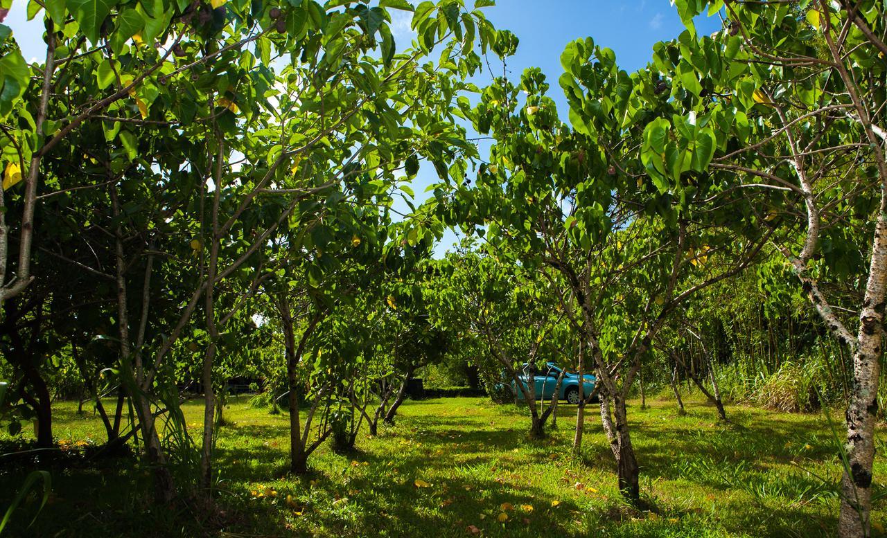 Kirpal Meditation And Ecological Center Pahoa Exterior foto